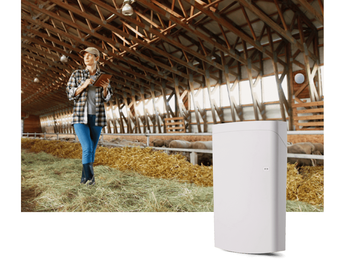 woman in barn using outdoor wifi